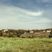 Brautpaar von hinten auf Wiese vor Weinbergen