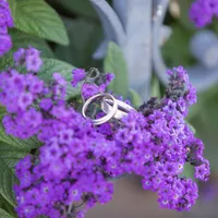 Zwei Eheringe auf violetten Blüten