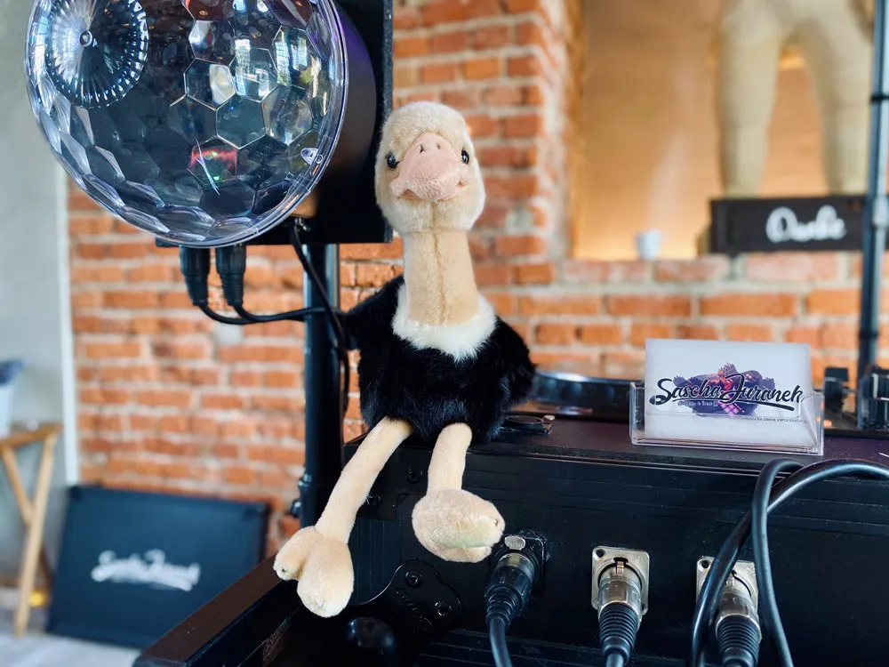 Ein Plüschstrauß als Kuscheltier sitzt auf dem DJ-Pult neben einer Discokugel vor einer Backsteinwand