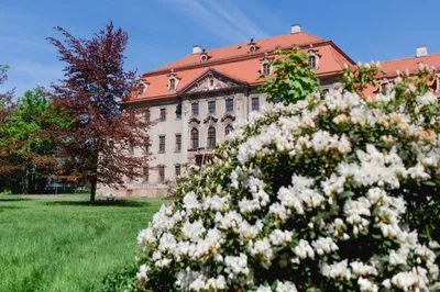 Schloss Brandis, Brandis