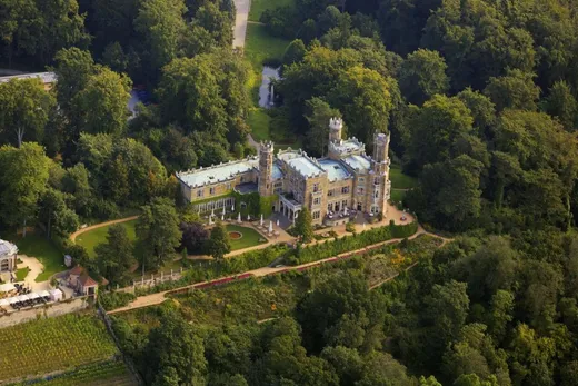 Schloss Eckberg von oben: das helle Schloss mit Türmen im bewaldeten Park über den Weinbergen