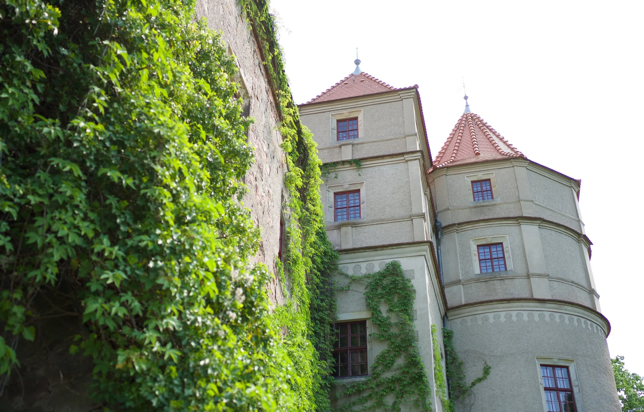 Zwei Türme über der bewachsenen Ringmauer von unten gesehen, einer rund mit rotem Kegeldach, der andere eckig mit Pyramidendach und Spitze